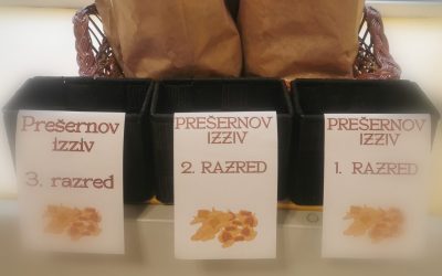 Prešernovi izzivi